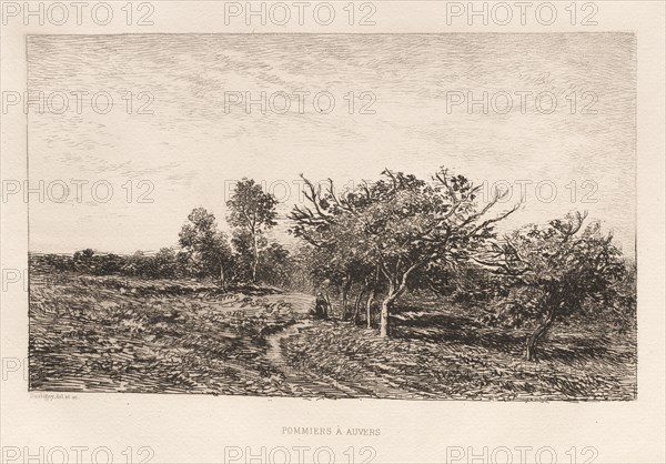 Apple Trees at Auvers (Pommiers à Auvers), 1877. Creator: Charles François Daubigny (French, 1817-1878).