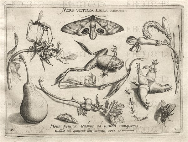 Archetypes and Studies: Death is the line that marks the end of all (Part II, plate 5), 1592. Creator: Joris Hoefnagel (Flemish, 1542-1601).