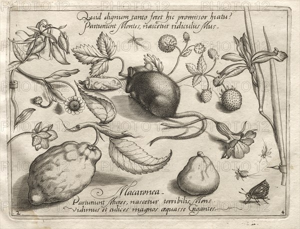 Archetypes and Studies: What can emerge in keeping with such a cavernous promise?, 1592. Creator: Joris Hoefnagel (Flemish, 1542-1601).