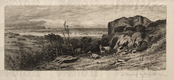 At Marblehead Neck, 1883. Creator: James David Smillie (American, 1833-1909).