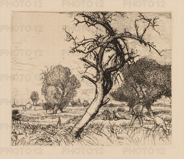 Auguste Lepère: Le pommier mort (Picardie), 1913. Creator: Auguste Louis Lepère (French, 1849-1918).