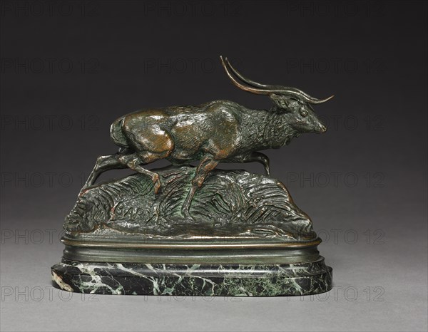 Axis Deer, 19th century. Creator: Antoine-Louis Barye (French, 1796-1875).