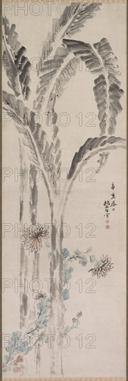 Banana Plant and Chrysanthemum (?), 19th century. Creator: Tsubaki Chinzan (Japanese, 1801-1854).