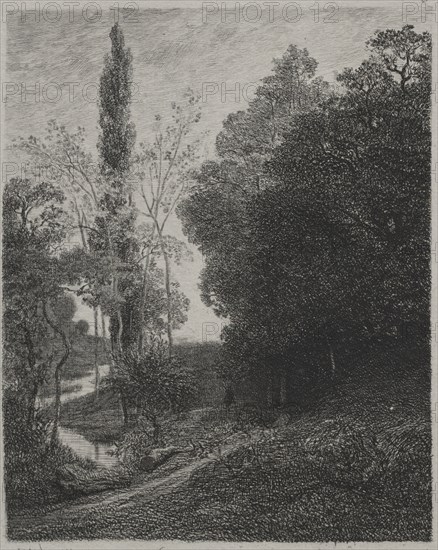 Banks of the River Cousin, 1850. Creator: Charles François Daubigny (French, 1817-1878); Auguste Delâtre.