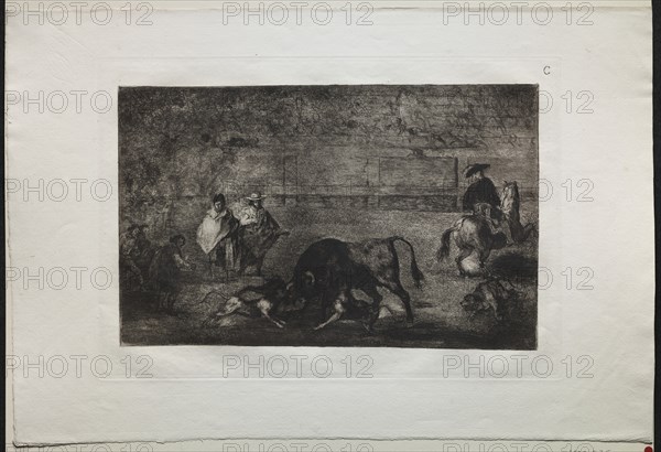 Bullfights: The Dog Let Loose on the Bull, 1876. Creator: Francisco de Goya (Spanish, 1746-1828).