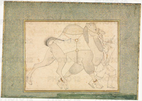 Camel and Groom; Single Page Illustration, c. 1545-1576. Creator: Shaykh Muhammad (Iranian), style of.