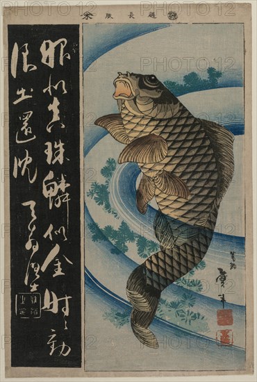 Carp and Waterweeds, c. early 1830s. Creator: Katsushika Taito II (Japanese, active c. 1810-50s).