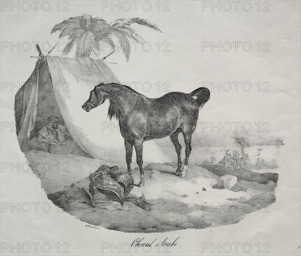 Cheval Arabe. Creator: Théodore Géricault (French, 1791-1824).