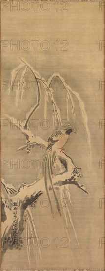 Chinese Bird on Snow-Laden Branch, 17th century. Creator: Kano Tan?y? (Japanese, 1602-1674).