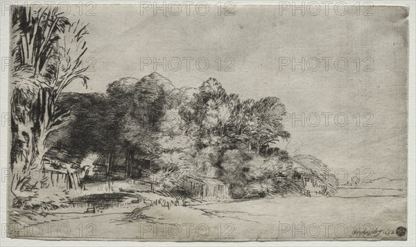 Clump of Trees with a Vista, 1652. Creator: Rembrandt van Rijn (Dutch, 1606-1669).