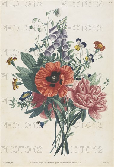 Collection of Flowers and Fruits Painted after Nature: Bouquet of Foxglove, Clematis..., 1805. Creator: Louis Charles Ruotte (French, 1754-1806); Jean Louis Prévost.