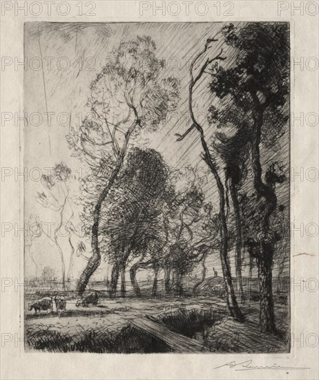 Coucher de Soleil derrière les Arbres, 1909. Creator: Auguste Louis Lepère (French, 1849-1918).