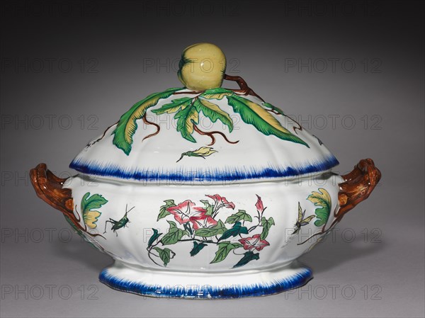 Covered Tureen, c. 1870. Creator: Creil Factory (French); Félix Bracquemond (French, 1833-1914).