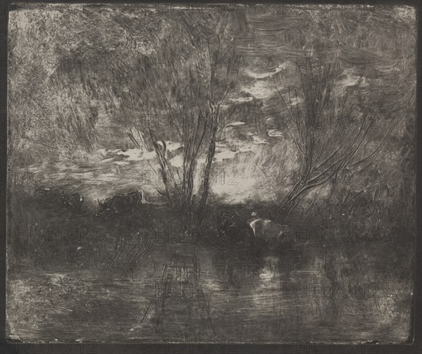 Cows at a Watering Place, original impression 1862, printed in 1921. Creator: Charles François Daubigny (French, 1817-1878).