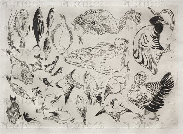 Dinner Service (Rousseau service): Ducks, fish, etc. (no. 12), 1866. Creator: Félix Bracquemond (French, 1833-1914).