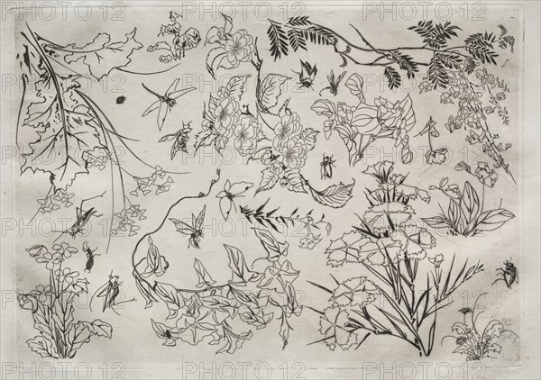 Dinner Service (Rousseau service): Flowers (no. 22), 1866. Creator: Félix Bracquemond (French, 1833-1914).