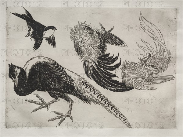 Dinner Service (Rousseau service): Pheasants and bird (no. 18), 1866. Creator: Félix Bracquemond (French, 1833-1914).