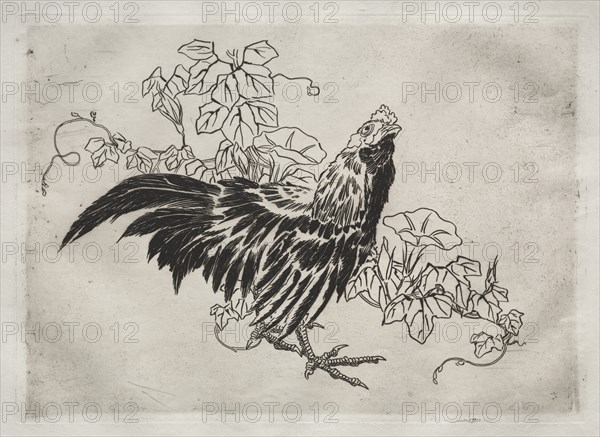 Dinner Service (Rousseau service): Rooster and morning glories (no. 25), 1866. Creator: Félix Bracquemond (French, 1833-1914).