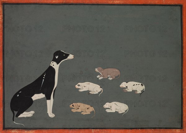 Dog with pups, c. 1780. Creator: Unknown.
