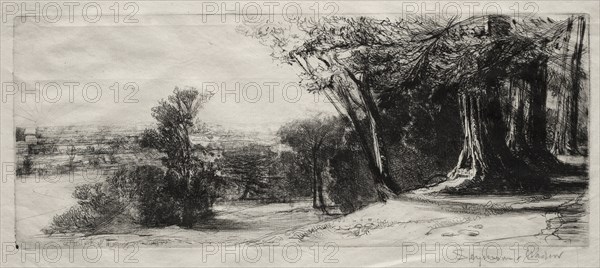 Early Morning, Richmond Park. Creator: Francis Seymour Haden (British, 1818-1910).