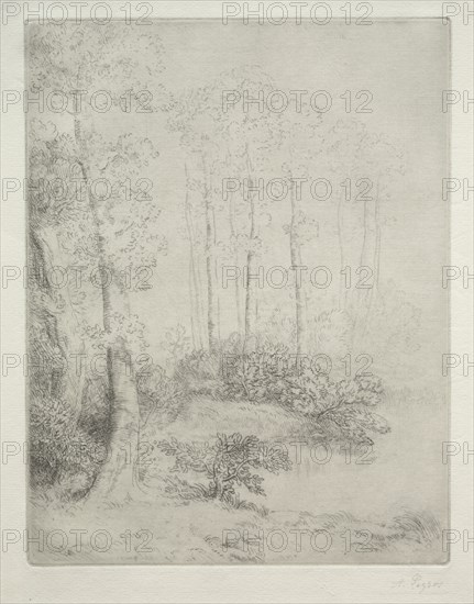 Edge of the Water (Au Bord de LEau). Creator: Alphonse Legros (French, 1837-1911).