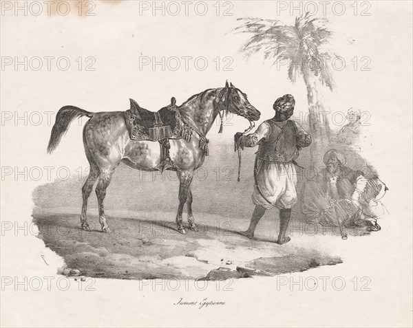 Egyptian Mare, 1822. Creator: Théodore Géricault (French, 1791-1824).
