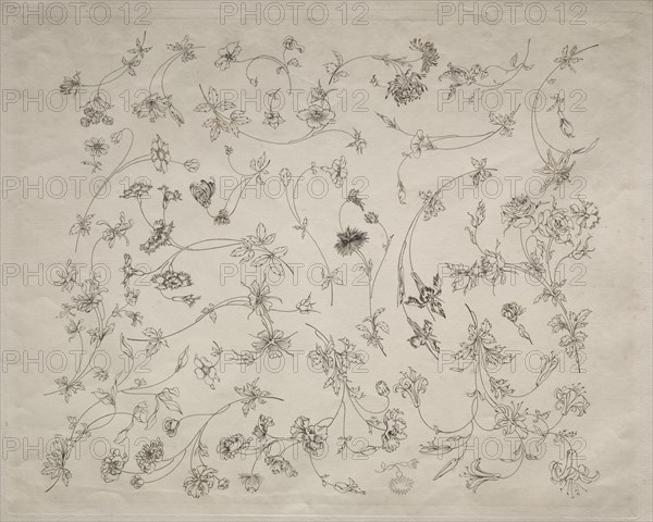Flower designs for plates and borders (no. 14), 1872. Creator: Félix Bracquemond (French, 1833-1914).