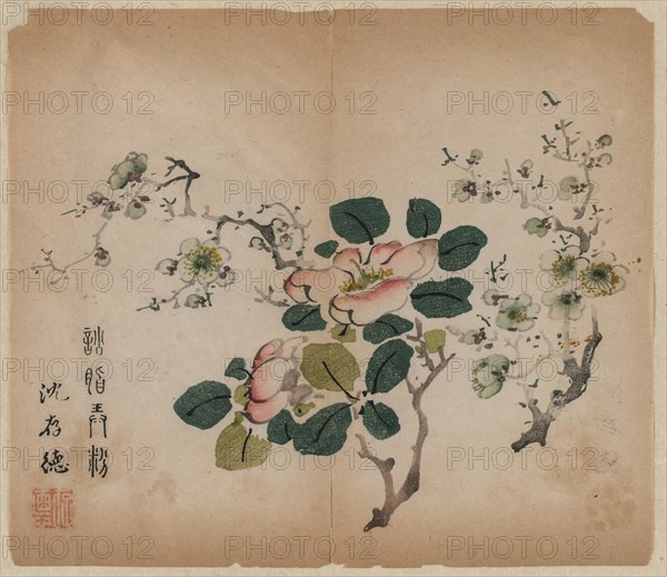 Flowering Prunus, 1368-1644. Creator: Unknown.