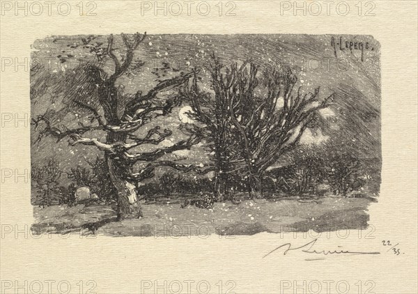 Fontainebleau Forest: Au dormoir de Lantara (La Forêt de Fontainebleau: Au dormoir de Lantara), 1890 Creator: Auguste Louis Lepère (French, 1849-1918); A. Desmoulins, Published in Revue Illustrée, 1887-90.