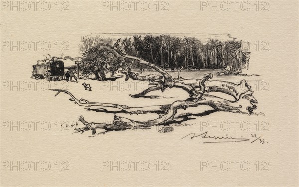 Fontainebleau Forest: Carrefour de lEpine (La Forêt de Fontainebleau: Carrefour de lEpine), 1890. Creator: Auguste Louis Lepère (French, 1849-1918); A. Desmoulins, Published in Revue Illustrée, 1887-90.