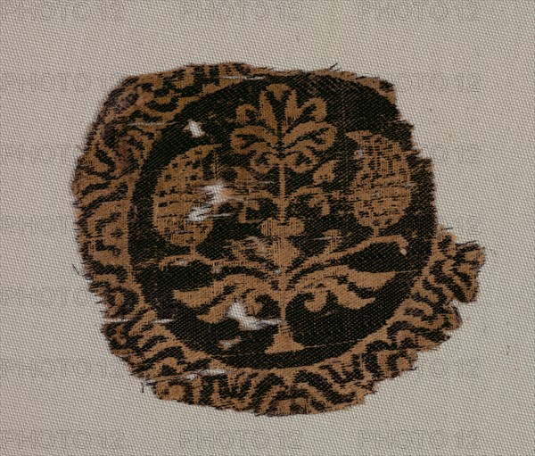 Fragment of a Segmentum with Palmette Tree, 700s. Creator: Unknown.