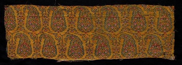 Fragment of a Shawl, 1800s. Creator: Unknown.
