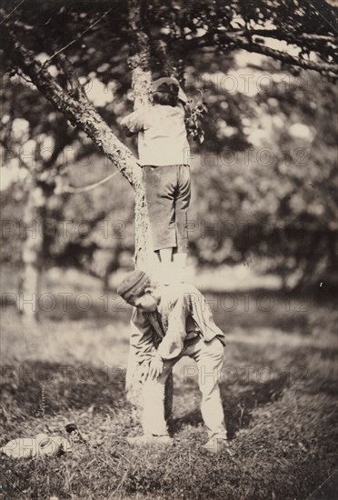 French Country Study: Two Boys Climbing a Tree, late 1870's. Creator: Auguste Giraudon's Artist (French).