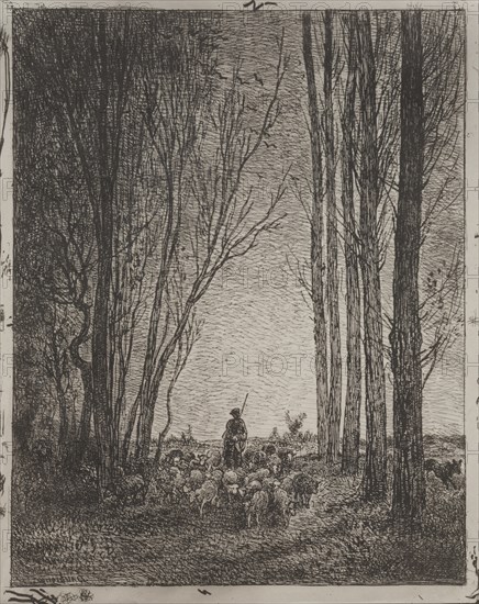 Gathering in the Flock, original impression 1862, printed in 1921. Creator: Charles François Daubigny (French, 1817-1878).