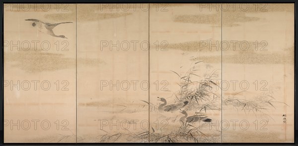 Geese, Reeds, and Water, 1800s. Creator: Yamamoto Baiitsu (Japanese, 1783-1856).