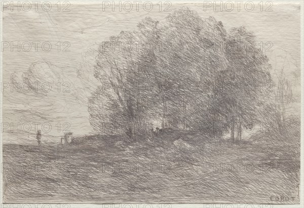 Group of Trees, 1858. Creator: Jean Baptiste Camille Corot (French, 1796-1875).