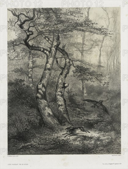 Hare Pursued by a Goshawk, 1858. Creator: Karl Bodmer (Swiss, 1809-1893); Goupil & Co., Paris.