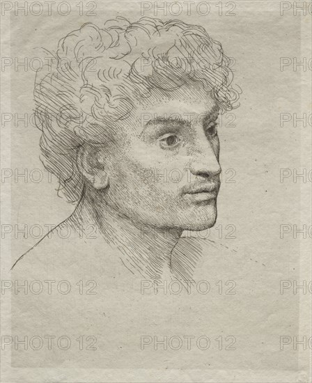 Head of a Young Man. Creator: Alphonse Legros (French, 1837-1911).