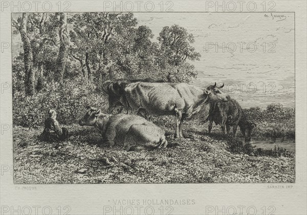 Holland Cows. Creator: Charles-Émile Jacque (French, 1813-1894).