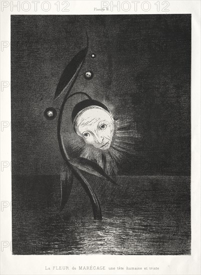 Homage to Goya: The Marsh Flower, a Sad Human Head, 1885. Creator: Odilon Redon (French, 1840-1916); Lemercier & Cie..