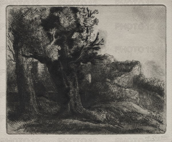 In the Ruins. Creator: Alphonse Legros (French, 1837-1911).