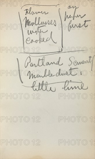 Italian Sketchbook: Notes (page 244), 1898-1899. Creator: Maurice Prendergast (American, 1858-1924).