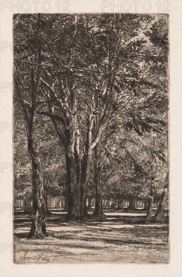 Kensington Gardens, No. 2 (The Larger Plate), 1860. Creator: Francis Seymour Haden (British, 1818-1910).
