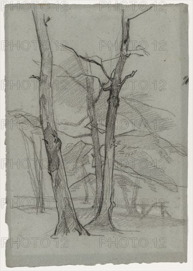 Landscape Study with Trees, c. 1870-1875. Creator: Thomas Couture (French, 1815-1879).
