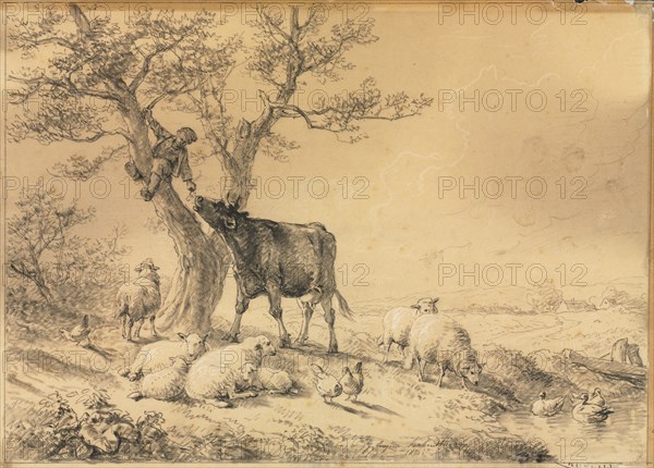 Landscape with Animals and Boy in Tree, 1866. Creator: Eugène Joseph Verboeckhoven (Belgian, 1798-1881).