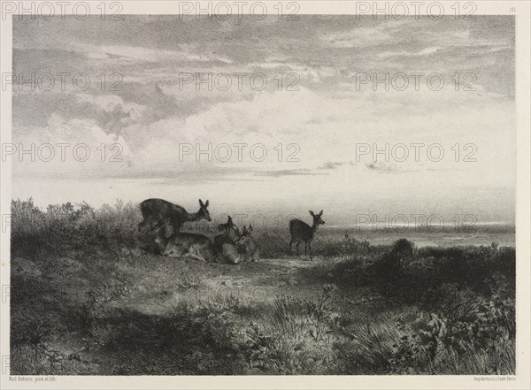 Landscape with Deer, c. 1840. Creator: Karl Bodmer (Swiss, 1809-1893).