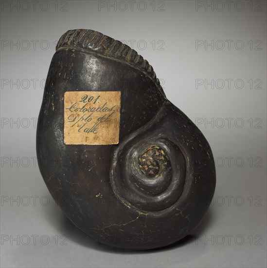 Large Snail, before 1921. Creator: Unknown.