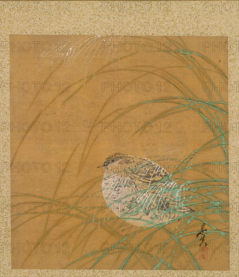 Leaf from Album of Seasonal Themes: Shoreline with Birds, 1847. Creator: Shibata Zeshin (Japanese, 1807-1891).