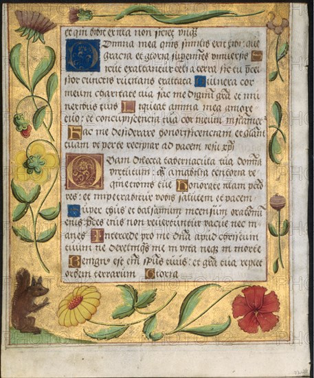 Leaf from a Psalter and Prayerbook: Ornamental Border with Flowers and Squirrel (verso), c. 1524. Creator: Unknown.