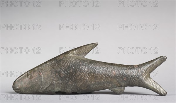 Lepidotus Fish, 305-30 BC. Creator: Unknown.